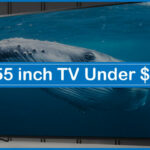 Best 55 inch TV Under $1500