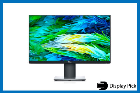 Dell P2421D 24 Inch 1440p QHD monitor for mac mini