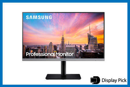 Samsung Business S24R650FDN 24 inch monitor for home office